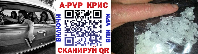 A PVP СК  Дальнегорск 