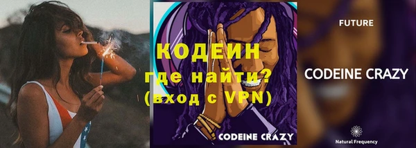 скорость Вяземский