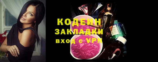 скорость Вяземский