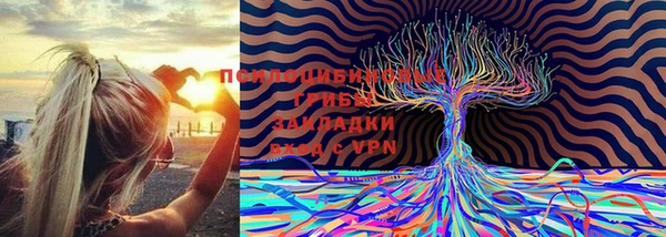 бошки Вязники