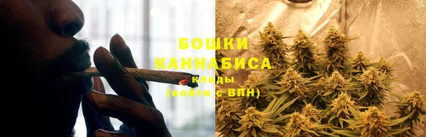 мяу мяу мука Волоколамск