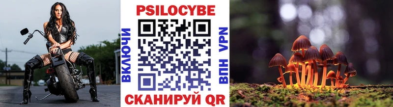 дарнет шоп  omg ONION  Галлюциногенные грибы Psilocybine cubensis  Дальнегорск 