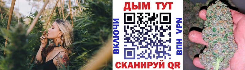 купить наркоту  omg маркетплейс  Бошки Шишки Amnesia  Дальнегорск 